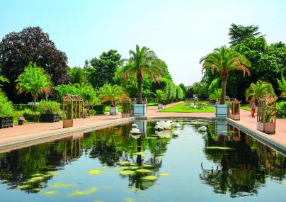 Jardin-des-Plantes--SMA©M.Harel