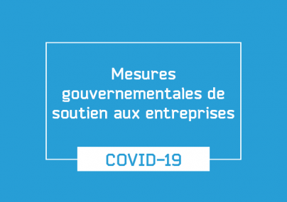 Mesure gouvernementale de soutien aux entreprises