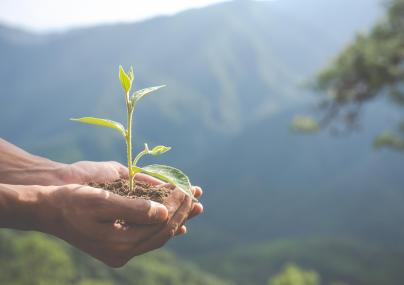 Écologie ©Jcomp - Freepik.com Écologie ©Jcomp - Freepik.com