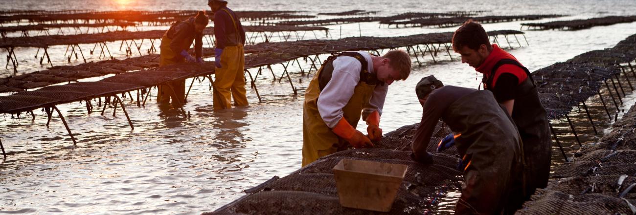 Présentation de la Seine-Maritime