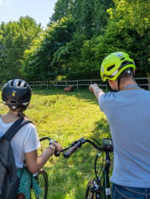 Bilan de saison touristique en Seine-Maritime