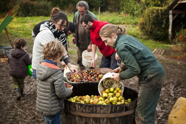 Production de cidre fermier