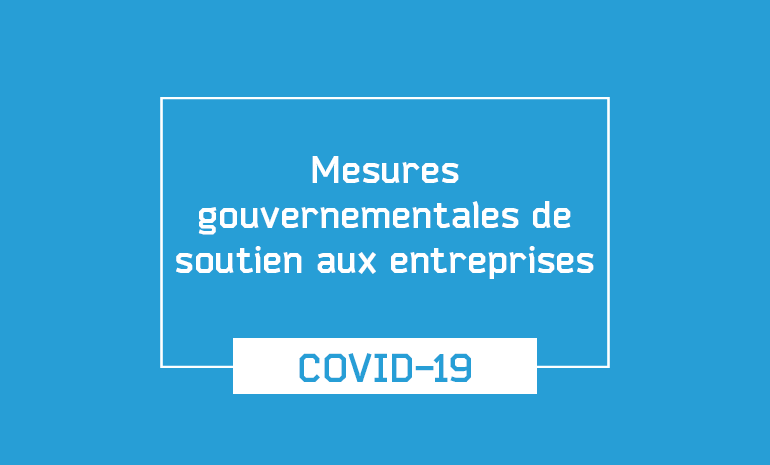 Mesure gouvernementale de soutien aux entreprises Mesure gouvernementale de soutien aux entreprises