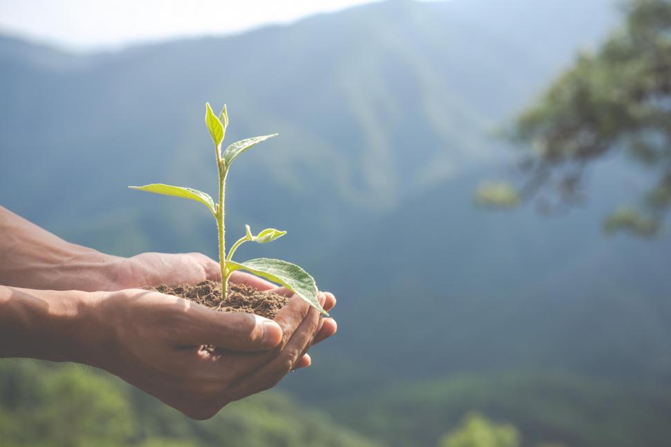 Écologie ©Jcomp - Freepik.com Écologie ©Jcomp - Freepik.com