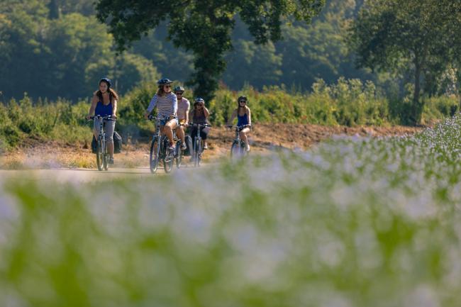 Balade à vélo sur la véloroute du lin