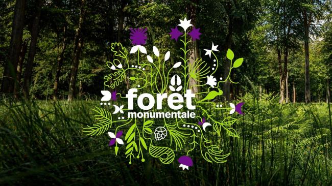 Forêt monumentale, édition 2024