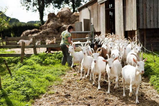 Ferme du Val de Bures