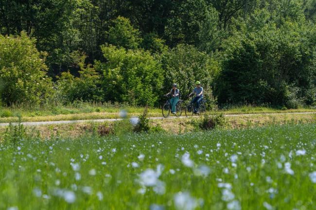 Balade à vélo sur la véloroute du lin