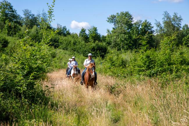 © V. Debels Forêt Domaniale de Lyons