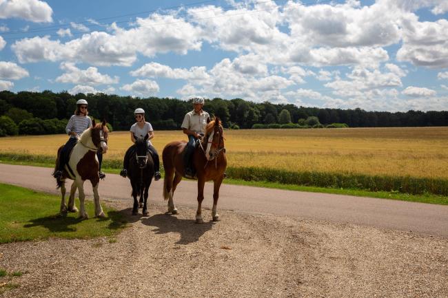 Randonnée à cheval