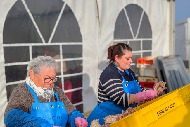  Foire aux Harengs et à la Coquille Saint-Jacques