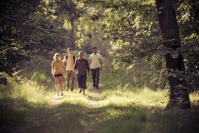 Vallée de Seine_randonnée forêt©CDT76_V.Rustuel Randonnée en Vallée de Seine