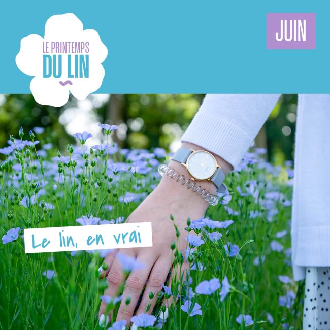 Visuel Le Printemps du Lin