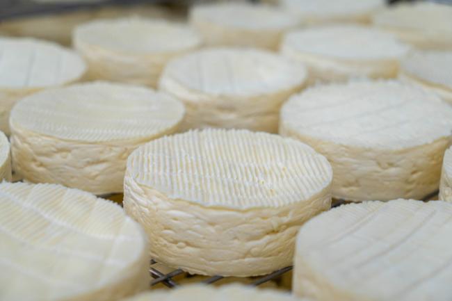 Camembert les 5 Frères