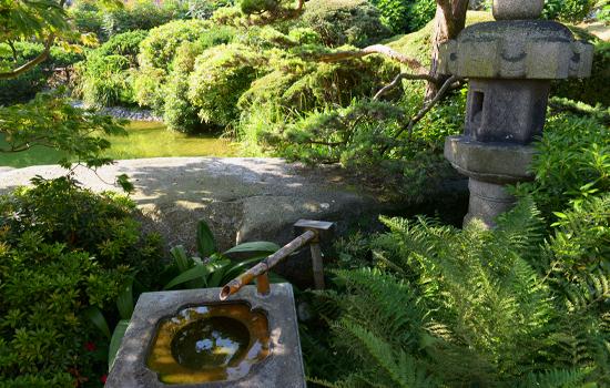 Jardin japonais au Havre